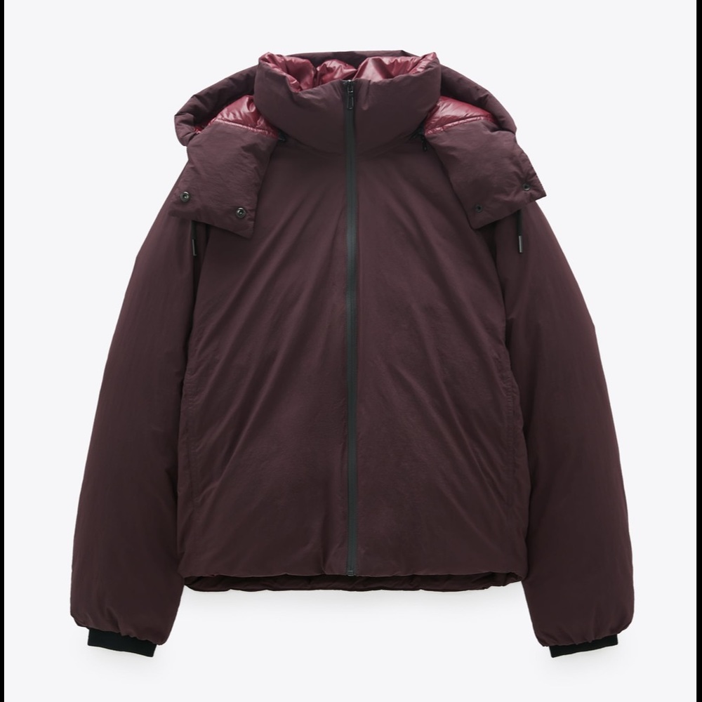 NWT Zara Limited Edition Down Coat